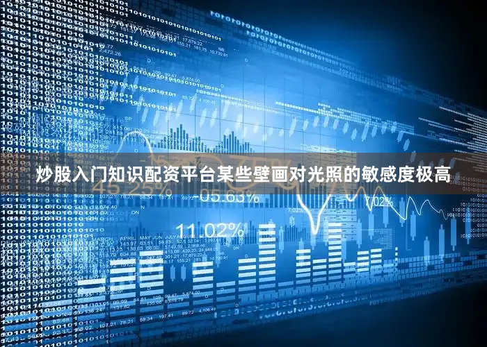 炒股入门知识配资平台某些壁画对光照的敏感度极高